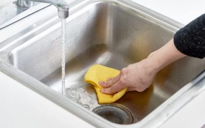 The Best Way to Clean the Kitchen Sink: Reviews Cart